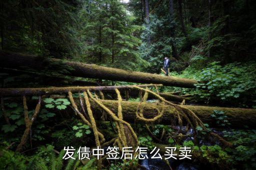 债券中签什么时候买股票，新债中签后几时卖