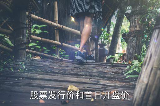 股票发行价和首日开盘价