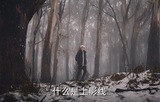 什么是上影线