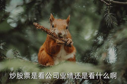 炒股票是看公司业绩还是看什么啊