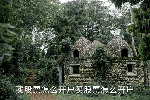 买股票需要开什么业务账户，买股票要怎样的银行帐户