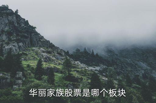华丽家族股票是哪个板块