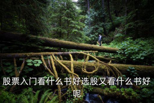 股票入门看什么书好选股又看什么书好呢