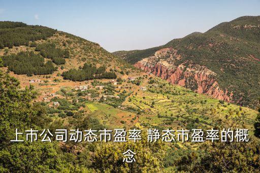 上市公司动态市盈率 静态市盈率的概念