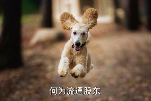 何为流通股东