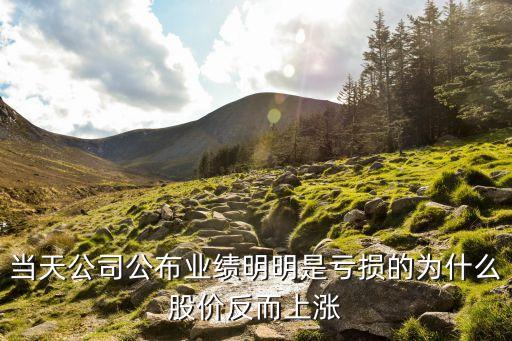 美利云股票为什么大涨，股票为什么涨了