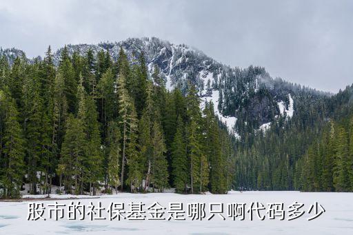 股市的社保基金是哪只啊代码多少