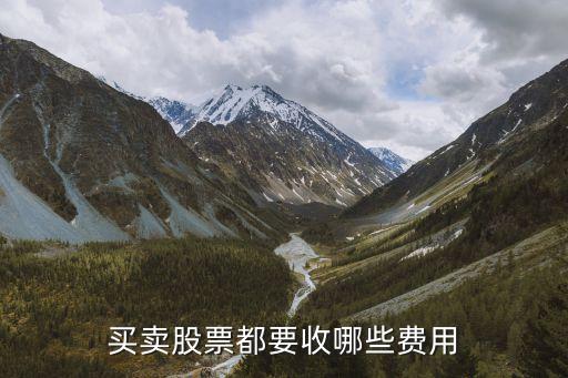 买卖股票都要收哪些费用