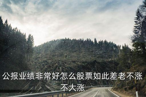 公报业绩非常好怎么股票如此差老不涨不大涨
