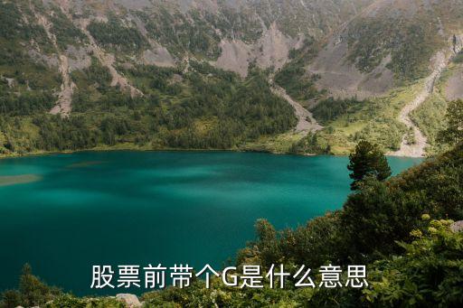 股票g什么意思啊，请问股票前面加上了G是什么意思