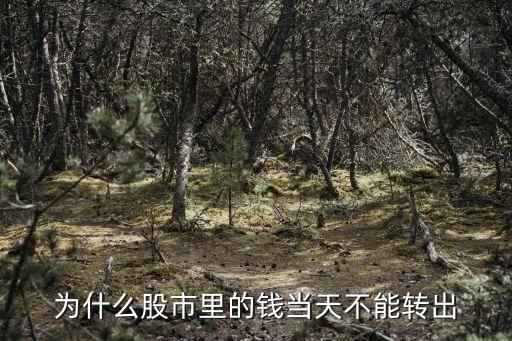 为什么股市里的钱当天不能转出