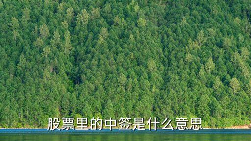 股票中签根据什么，股票中签率是怎么计算的