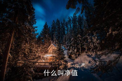 什么叫净值