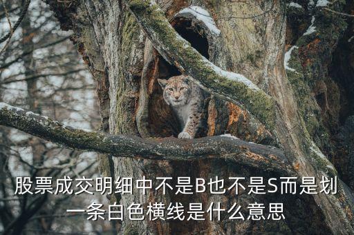 股票划杠是什么意思，什么是股票杠杆