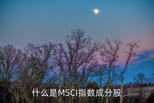 什么是MSCI指数成分股