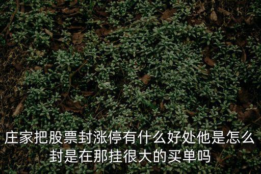 庄家把股票封涨停有什么好处他是怎么封是在那挂很大的买单吗