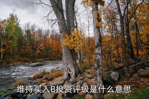 维持买入B投资评级是什么意思