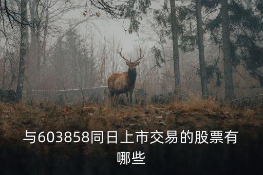 008887有什么股票，08 有什么股票能进呀