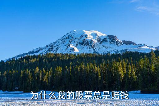 为什么我的股票总是赔钱