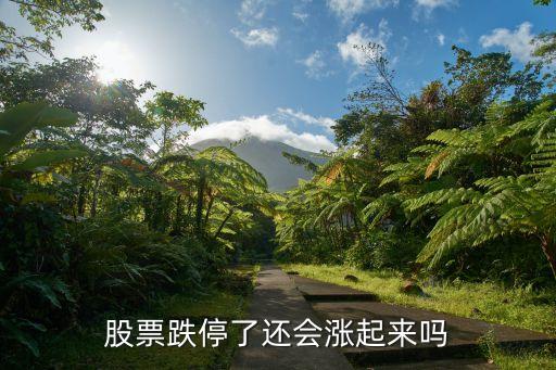 股票跌停了还会涨起来吗