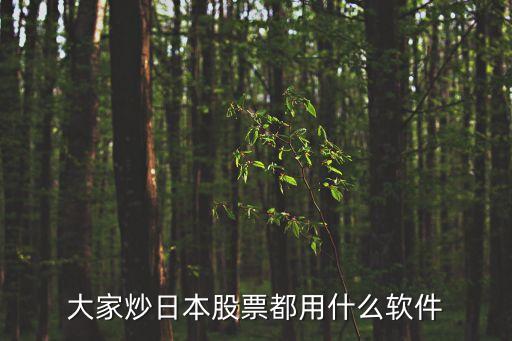 大家炒日本股票都用什么软件