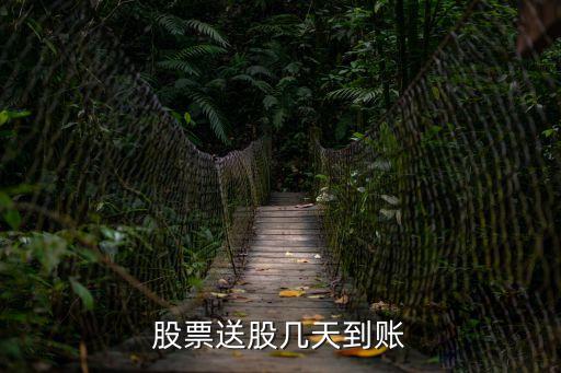 股票送股几天到账