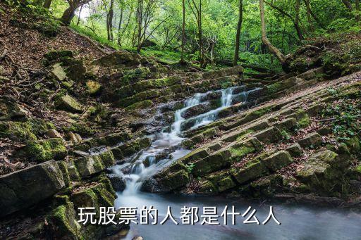 玩股票的人都是什么人
