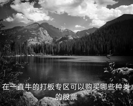在一直牛的打板专区可以购买哪些种类的股票