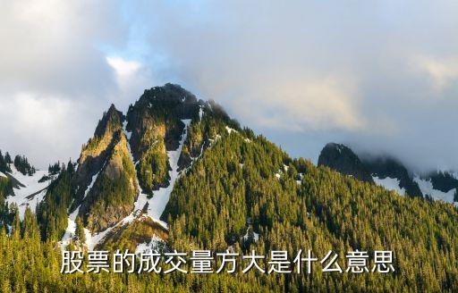 股票成交量大代表什么，股票的成交量方大是什么意思