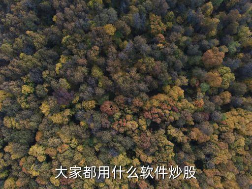 大家都用什么软件炒股