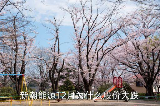 新潮能源12月为什么股价大跌