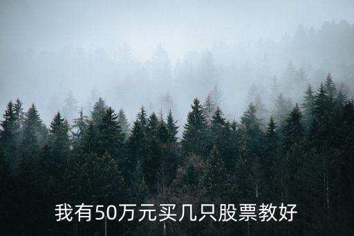 50多万买什么股票，我有50万元买几只股票教好