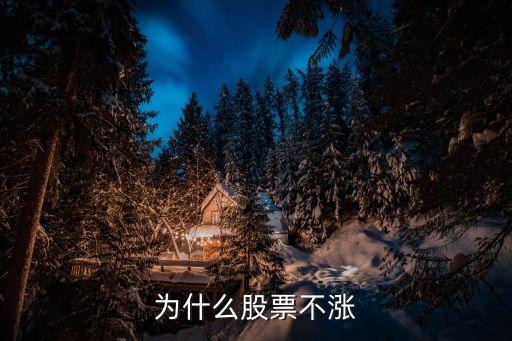为什么股票不会上涨下跌，为什么股票不涨