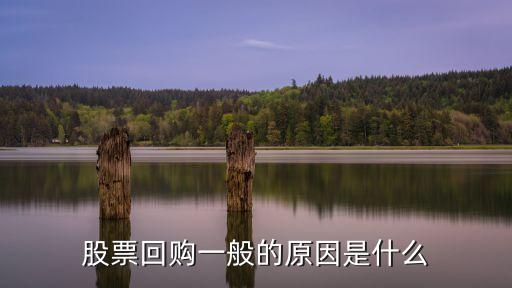 股票回购一般的原因是什么