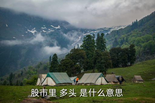 股票中多头是什么意思，股市里 多头 是什么意思