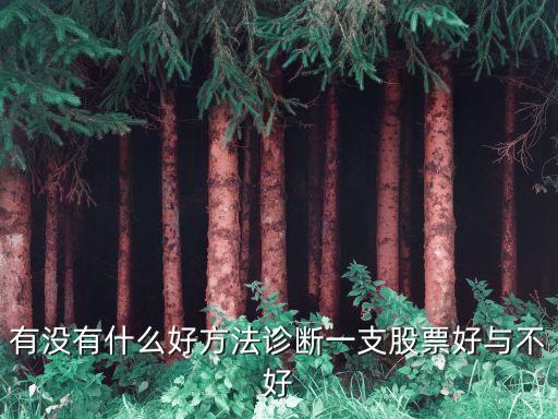什么是股票诊断，什么是股票诊断