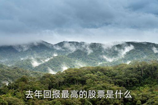 去年回报最高的股票是什么