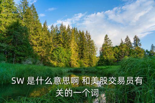 股票分析师之歌是什么，王国强英文名字怎么写