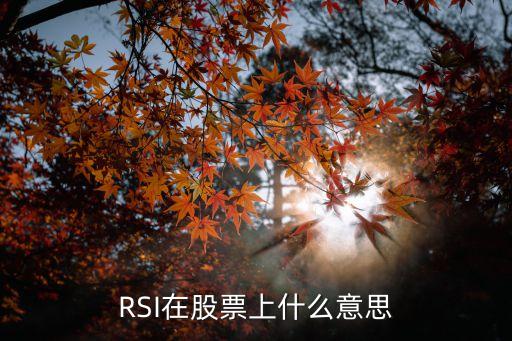股票里的rsi是什么意思，rsi是什么意思