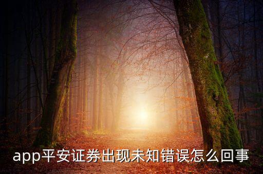 app平安证券出现未知错误怎么回事