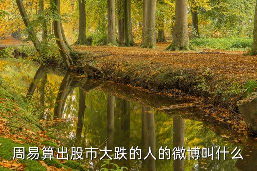 周易算出股市大跌的人的微博叫什么