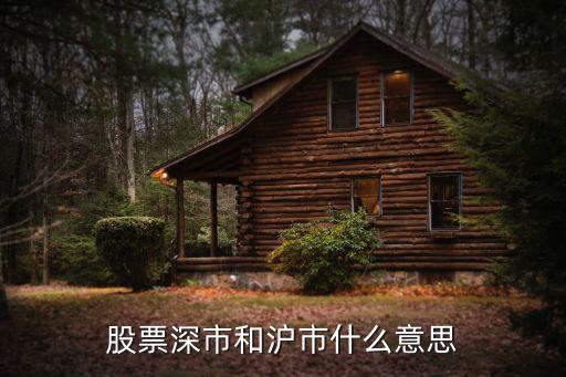 股票深市和沪市什么意思