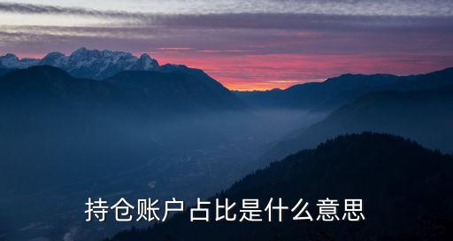 持仓账户占比是什么意思