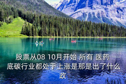 股票从08 10月开始 所有 医药 底碳行业都处于上涨是那是出了什么政