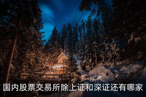 国内股票交易所除上证和深证还有哪家