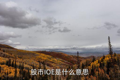 股票ioe是什么，炒股里ep是什么意思