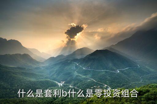 什么是套利b什么是零投资组合