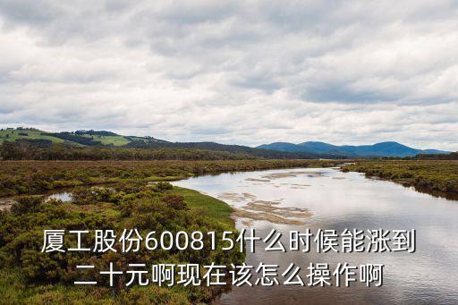 厦工股份600815什么时候能涨到二十元啊现在该怎么操作啊