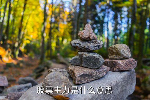 股票主力是什么意思