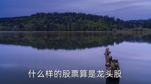 什么股票算龙头股啊，什么样的股票算是龙头股